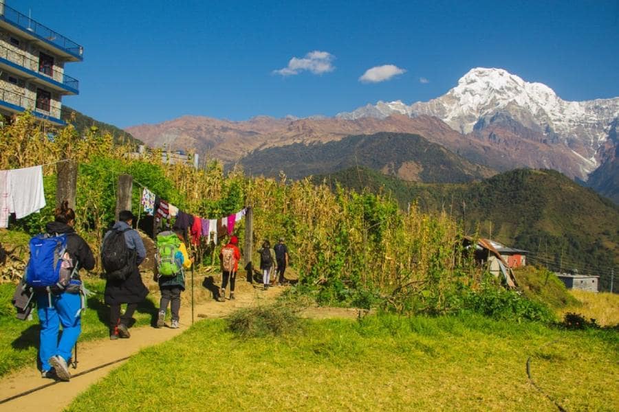 poon hill trek