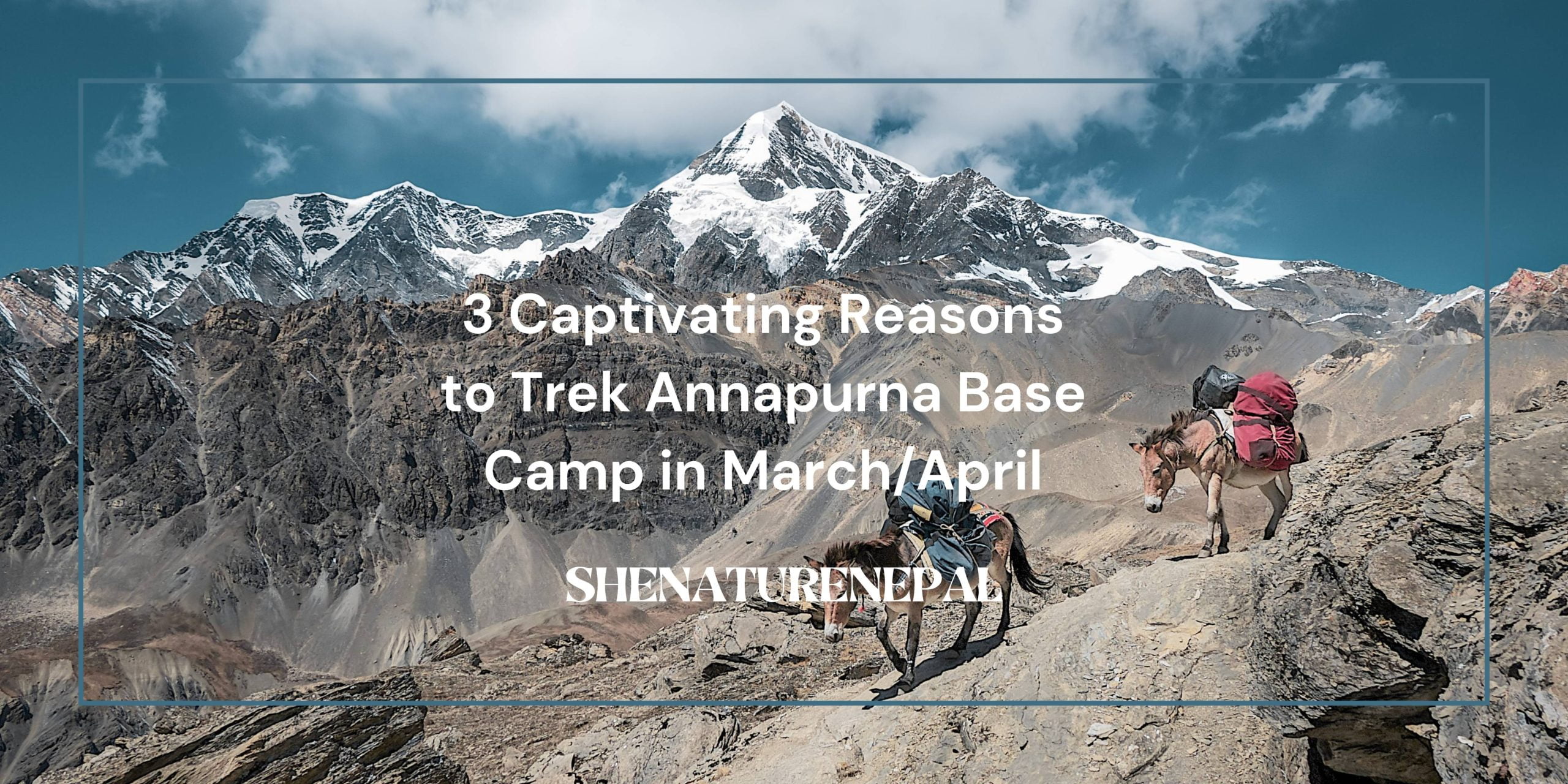 Everest-base-camp-trek-scaled